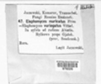 Image Associated With the Occurence